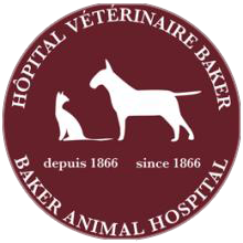 Baker Animal Hospital